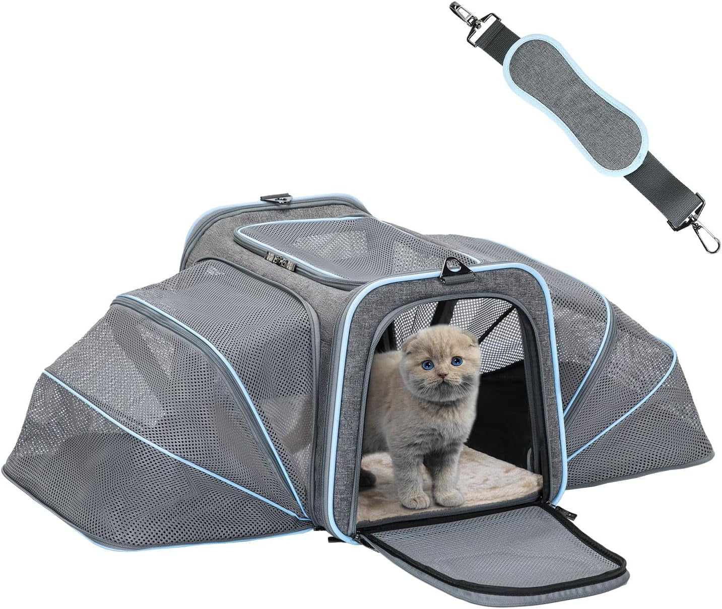 Expandable Cat Carriers Airline Approved, 16